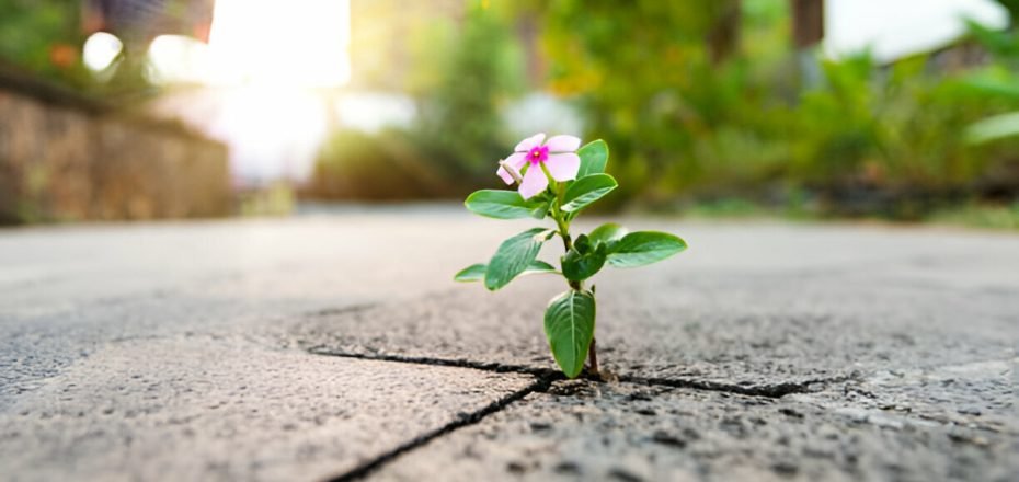 NORMAL-iStockPhoto-1333504601